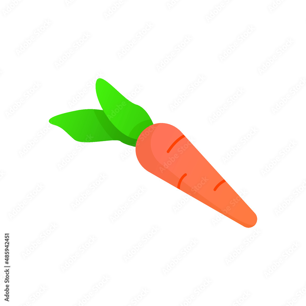 carrot vector illustration carrot vector illustration