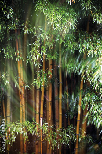 Ola,


agardo que gusten,


bico
