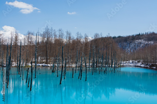 残雪が残る早春の青い池 美瑛町 