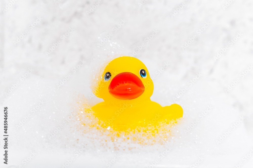Yellow cheerful toy rubber duck in bath foam. Baby spa concept. Kids bath time Yellow cheerful toy rubber duck in bath foam. Baby spa concept. Kids bath time
