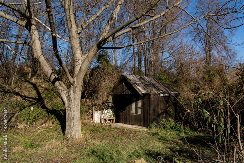 A small wooden hut in the forest and a walnut tree in front of the cottage on a cold sunny winter day