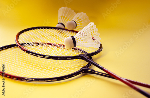 feathers and badminton rackets on a yellow background © Isa Alatorre