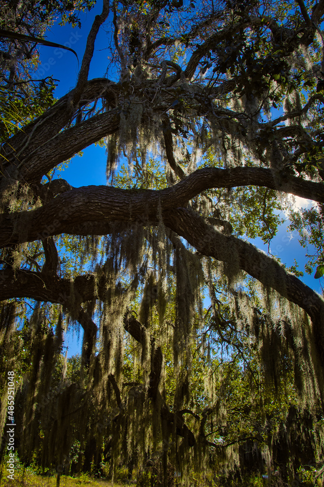 Fototapeta premium Exploring old town Melbourne Florida by the Indian river