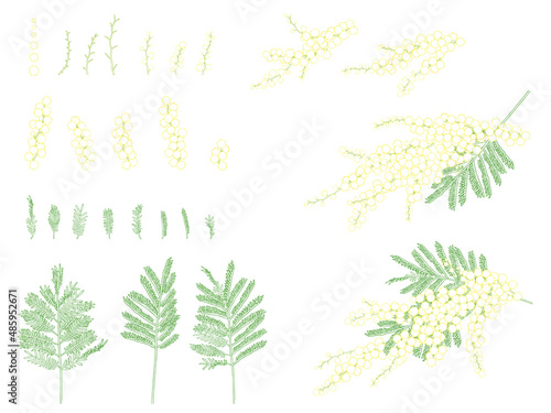 ミモザのイラストセット_カラー線画