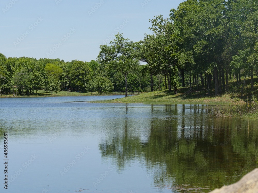 Tranquil view of a lake with trees reflected in the waters