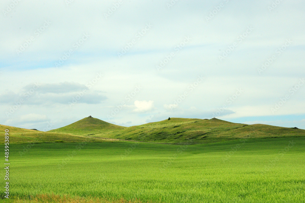 A ridge of high hills on the edge of an endless steppe overgrown with grass on a sunny summer day.