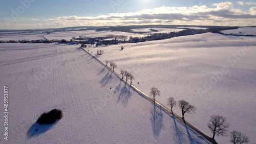 Dreamy winter evening landscape with a tree-lined road covered with snow photo