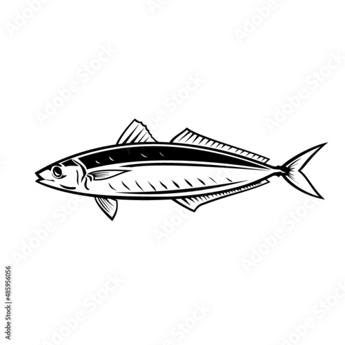 Mascot illustration of round scad fish or mackerel scad viewed from side on isolated background in black and white retro style.
