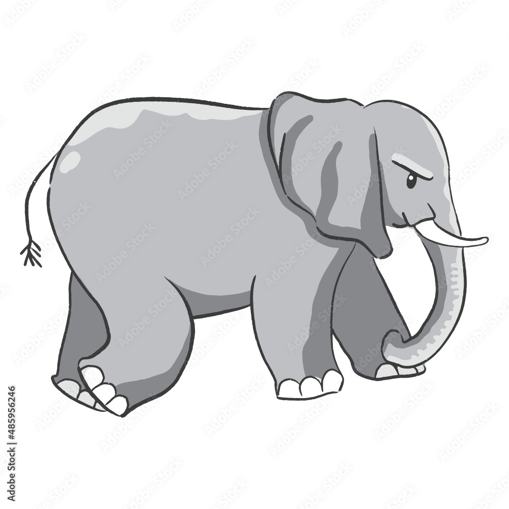 Hand drawn elephant cartoon illustration Animal.