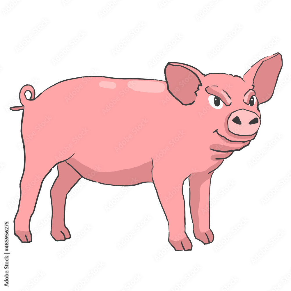 Hand drawn pig cartoon illustration Animal. Hand drawn pig cartoon illustration Animal.