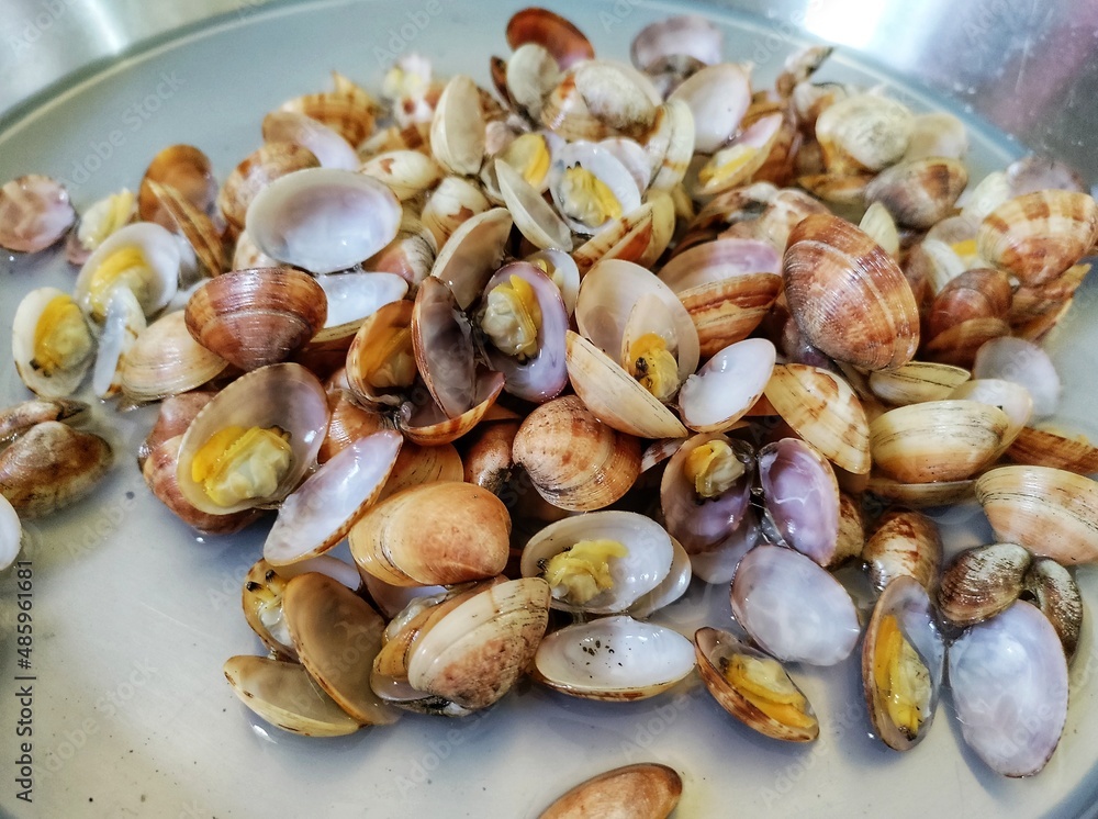 Steamed Clams in white bowl.