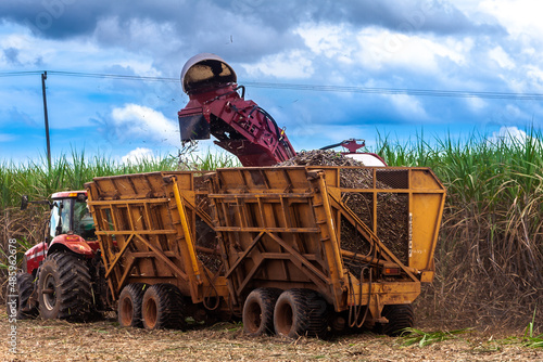 Sao Paulo, Brazil, April 10, 2008. Sugar cane harvesting in Brazil