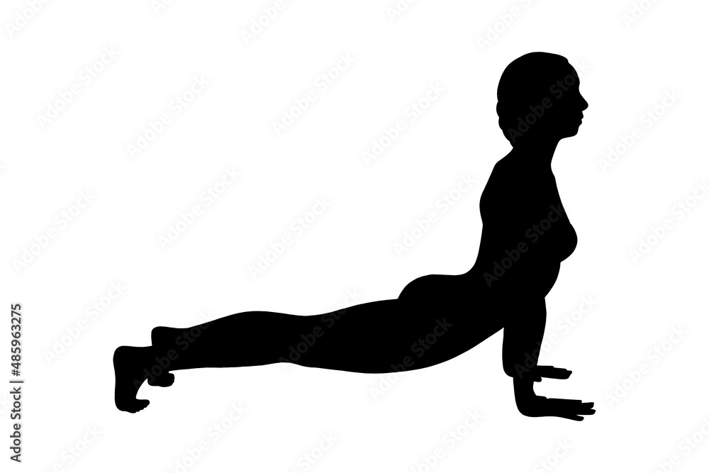Fototapeta premium Yoga cobra pose or bhujangasana. Woman silhouette practicing strengthing yoga pose. Vector illustration isolated on white background