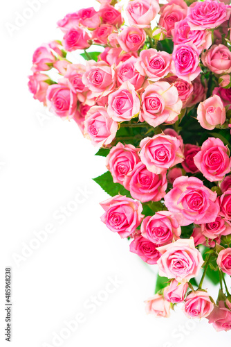 Beautiful Roses Bouquet Flowers isolated on white background