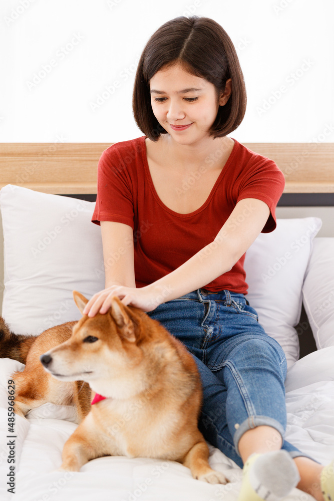 Portrait shot of little cute smart brown Shiba Inu dog wearing red bowtie sitting on bed in bedroom look at camera with Asian female girl owner smiling holding cuddling together in blurred background Portrait shot of little cute smart brown Shiba Inu dog wearing red bowtie sitting on bed in bedroom look at camera with Asian female girl owner smiling holding cuddling together in blurred background