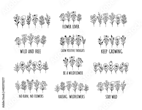 Wildflower line art vector illustration set. Flower garden elegance botanical collection. Positive sayings. Hand-drawn herbal and meadow plants illustration on white background.