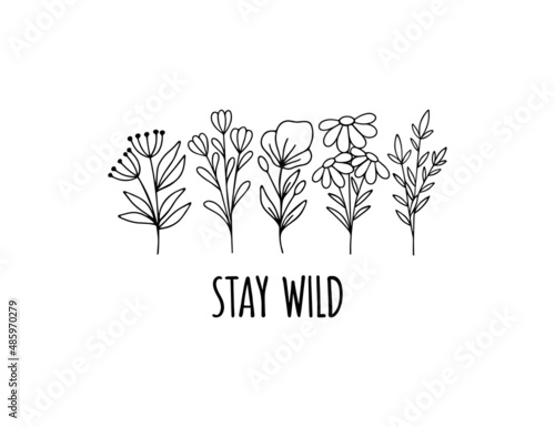 Wildflower line art vector illustration. Flower garden elegance botanical collection. Hand-drawn herbal and meadow plants illustration on white background. Flower lover t shirt print.