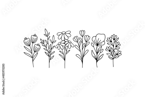 Wildflower line art vector. Flower garden elegance botanical. Hand drawn herbal and meadow plants illustration on white background. Daisy, twigs botany, branch for summer decor.