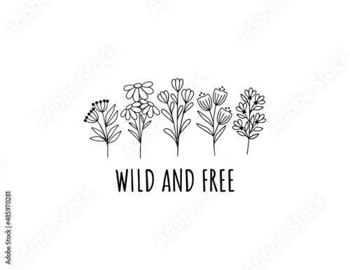 Wildflower line art vector illustration. Wild and free text t shirt print. Flower garden elegance botanical collection. Herbal and meadow plants illustration on white background.