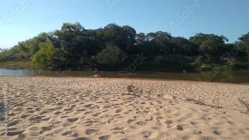 sand dunes and trees