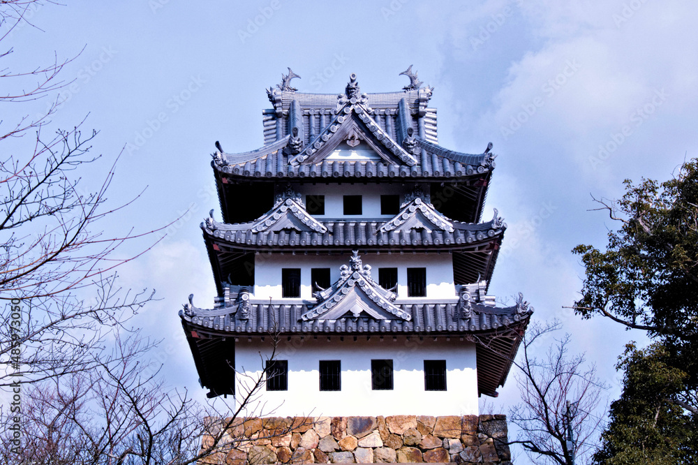 Fototapeta premium 洲本城