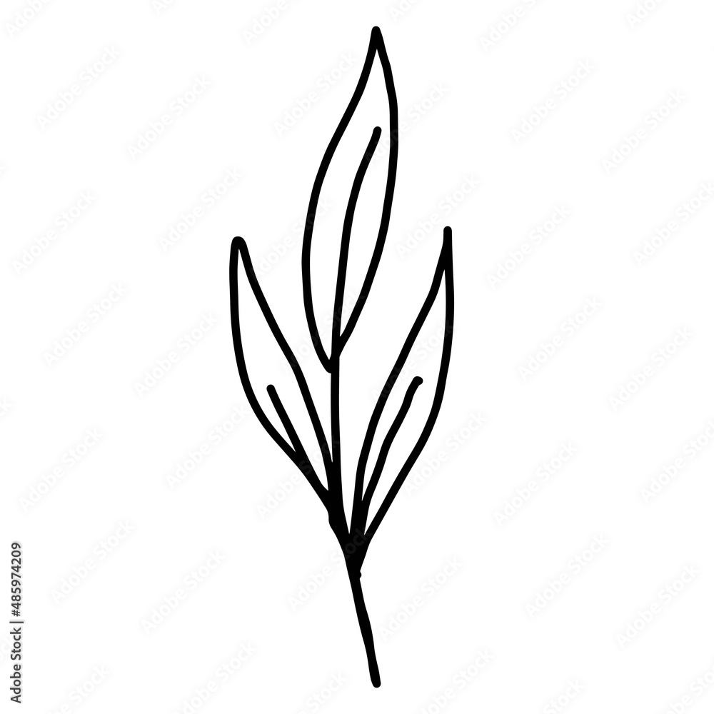 Hand drawn vector flower drawing. Decorative elements for design. Isolated on a white background. Ornament for embroidery, postcards and invitations Hand drawn vector flower drawing. Decorative elements for design. Isolated on a white background. Ornament for embroidery, postcards and invitations