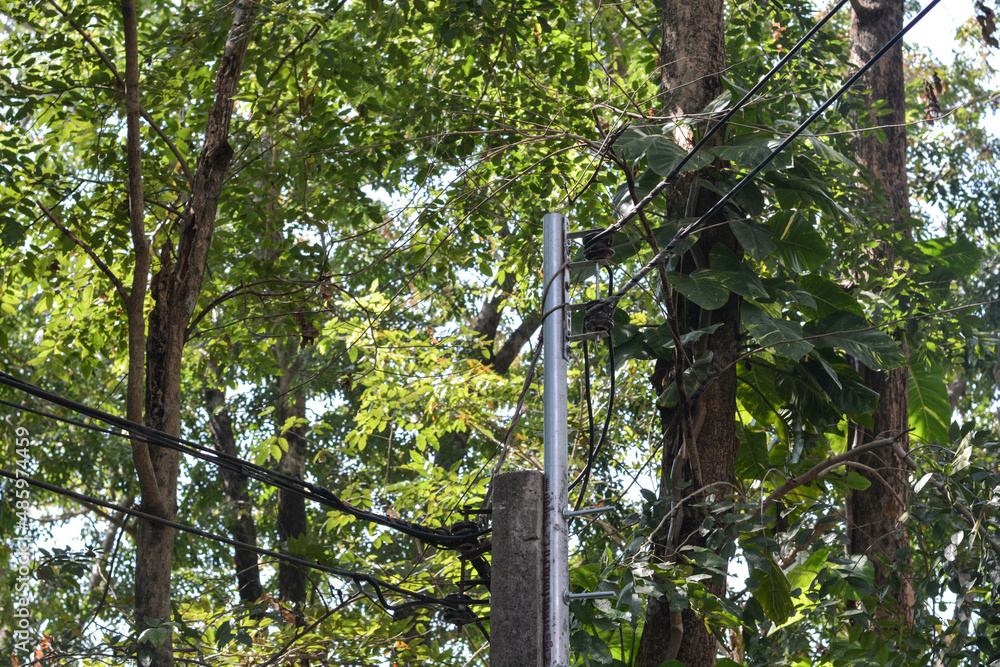 Fototapeta premium Cement electric pole and forest.