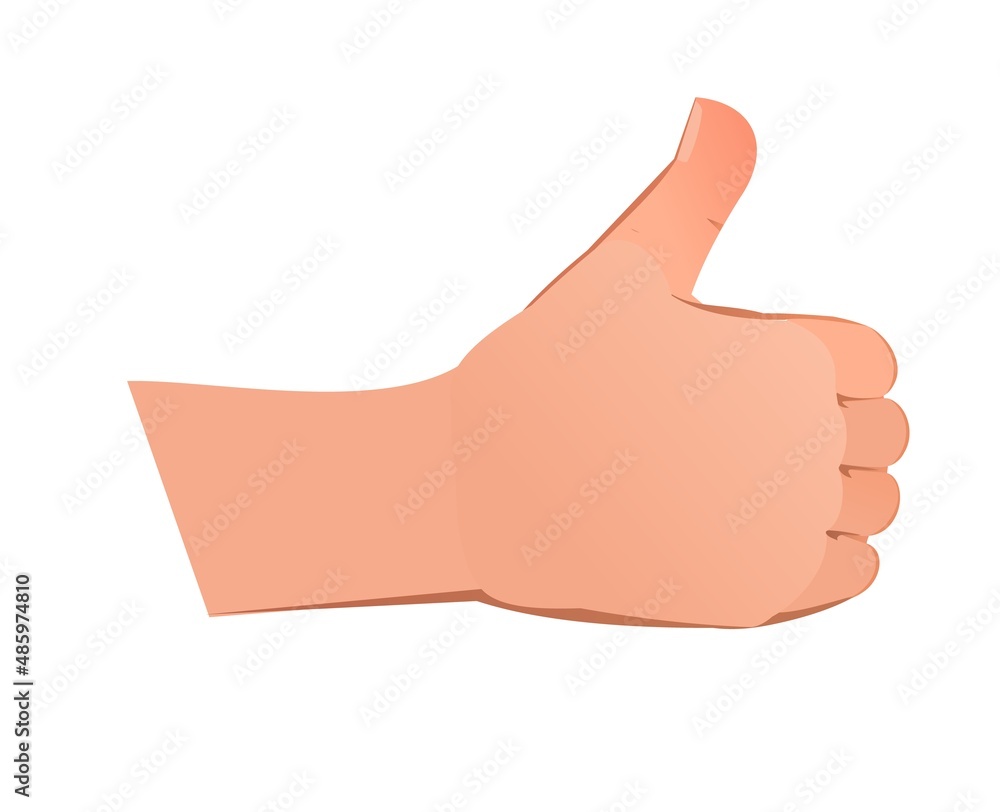 Right hand in like gesture. The object is isolated on white background. Funny cartoon style. Vector