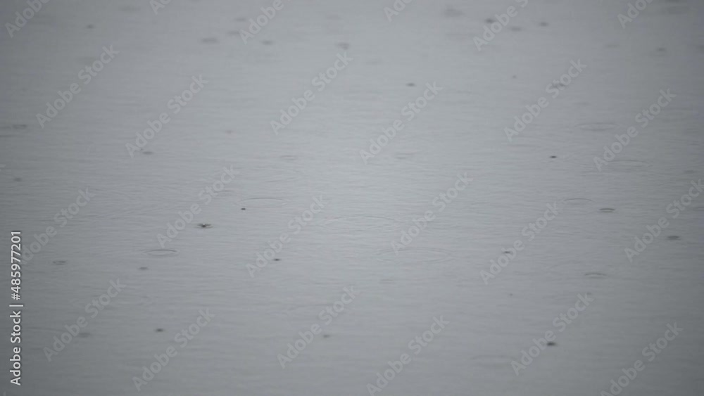Rain causes ripples on the sruface of a lake. Rain causes ripples on the sruface of a lake.