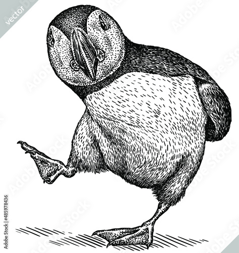 black and white engrave isolated puffin vector illustration