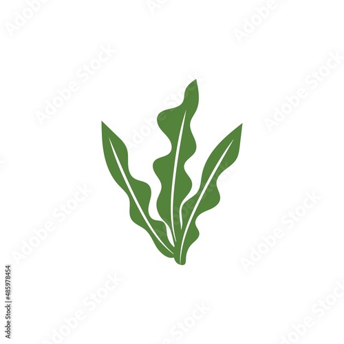 seaweed and seafood logo and icon vector