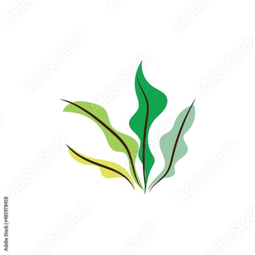 seaweed and seafood logo and icon vector