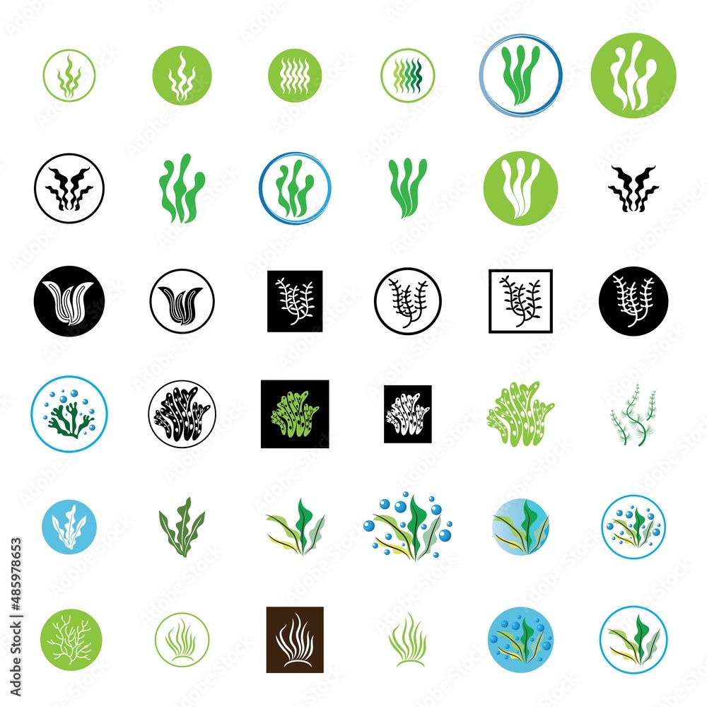 seaweed and seafood logo and icon vector seaweed and seafood logo and icon vector