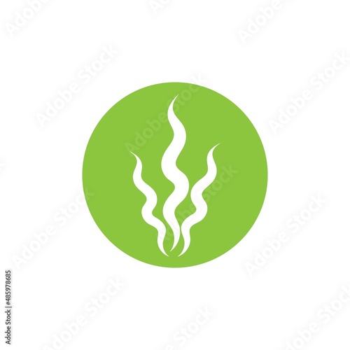 seaweed and seafood logo and icon vector