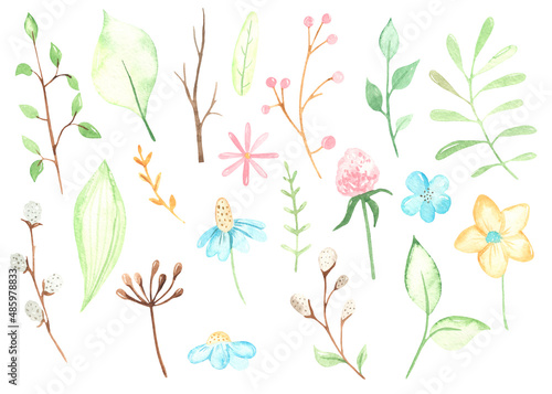Watercolor Easter plants, branches, leaves, flowers, foliage, willow, berries