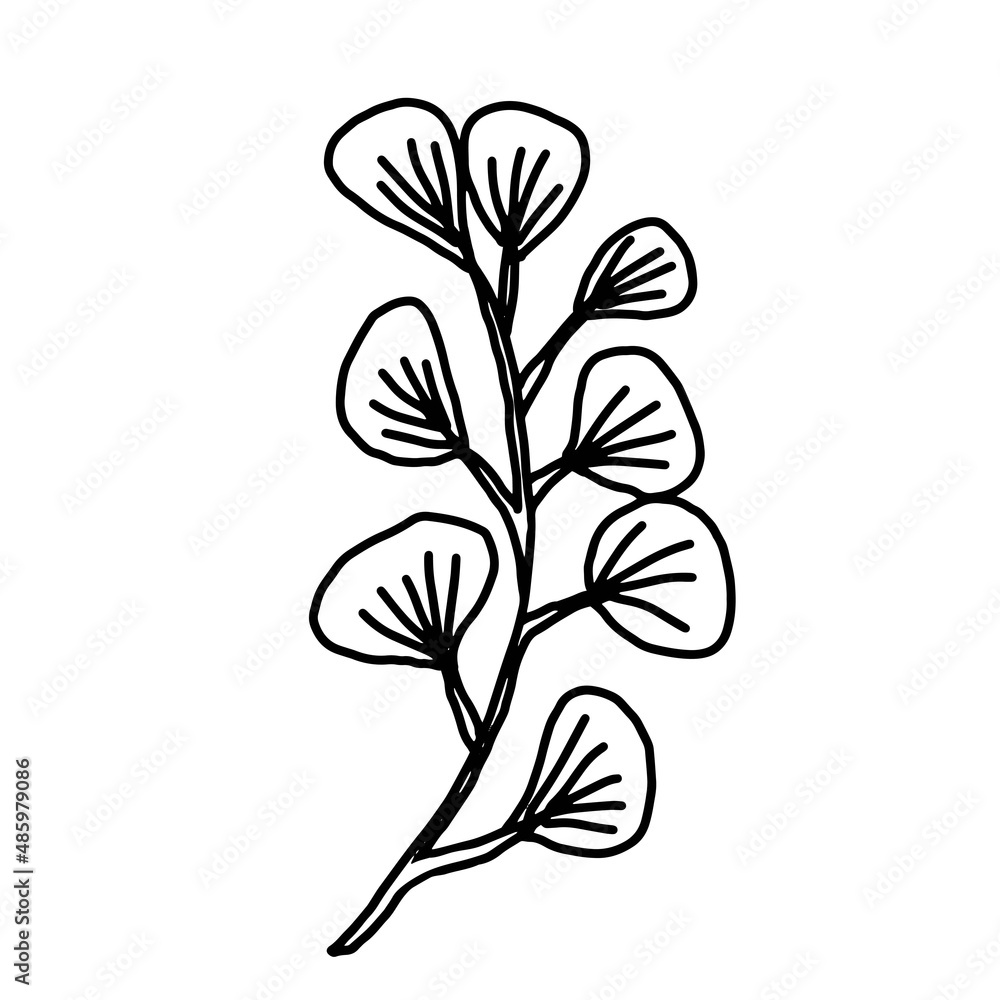 Hand drawn vector flower drawing. Decorative elements for design. Isolated on a white background. Ornament for embroidery, postcards and invitations Hand drawn vector flower drawing. Decorative elements for design. Isolated on a white background. Ornament for embroidery, postcards and invitations