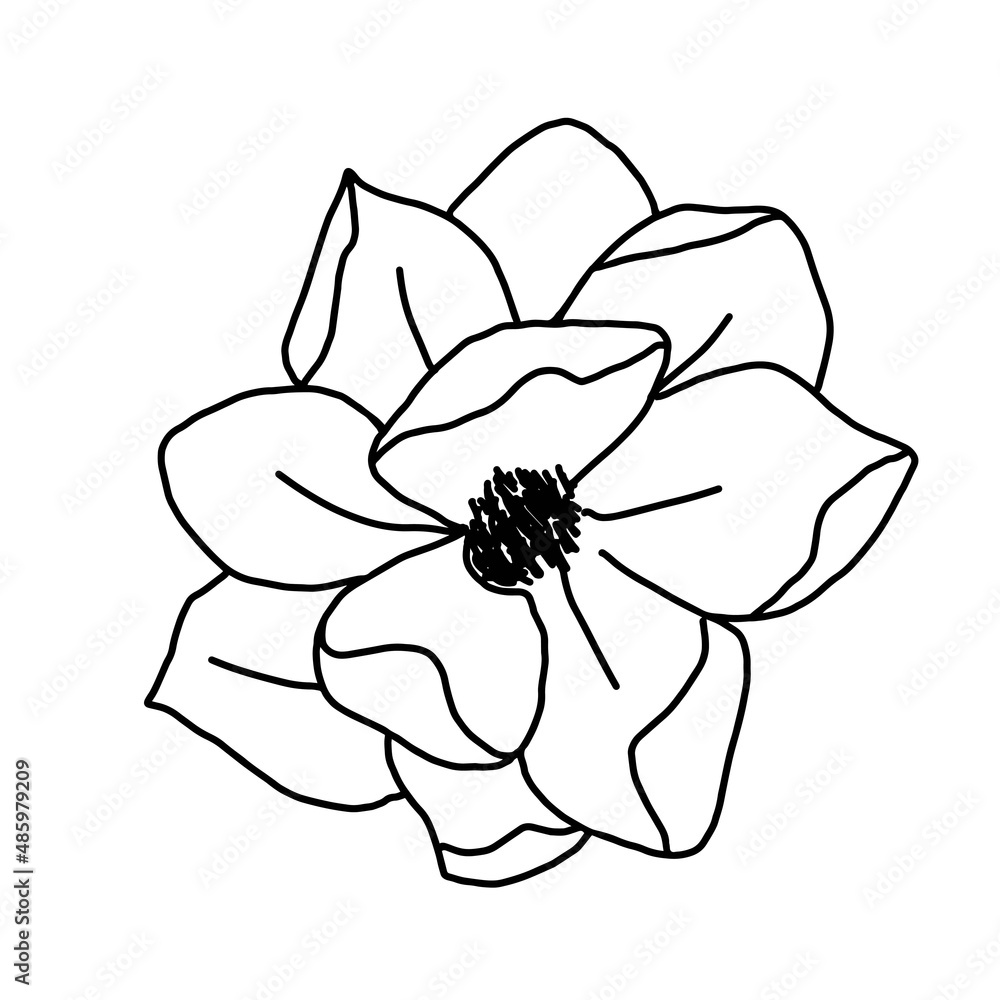 Hand drawn vector flower drawing. Decorative elements for design. Isolated on a white background. Ornament for embroidery, postcards and invitations Hand drawn vector flower drawing. Decorative elements for design. Isolated on a white background. Ornament for embroidery, postcards and invitations