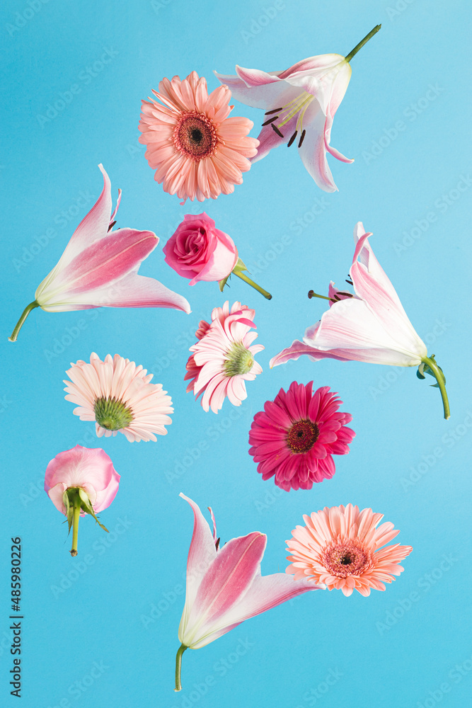 Creative background with colorful fresh flowers. Minimal balance composition.