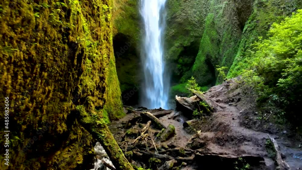 Dolly out of hidden misty waterfall streaming into natural pond surrounded by green moss and dense vegetation Dolly out of hidden misty waterfall streaming into natural pond surrounded by green moss and dense vegetation
