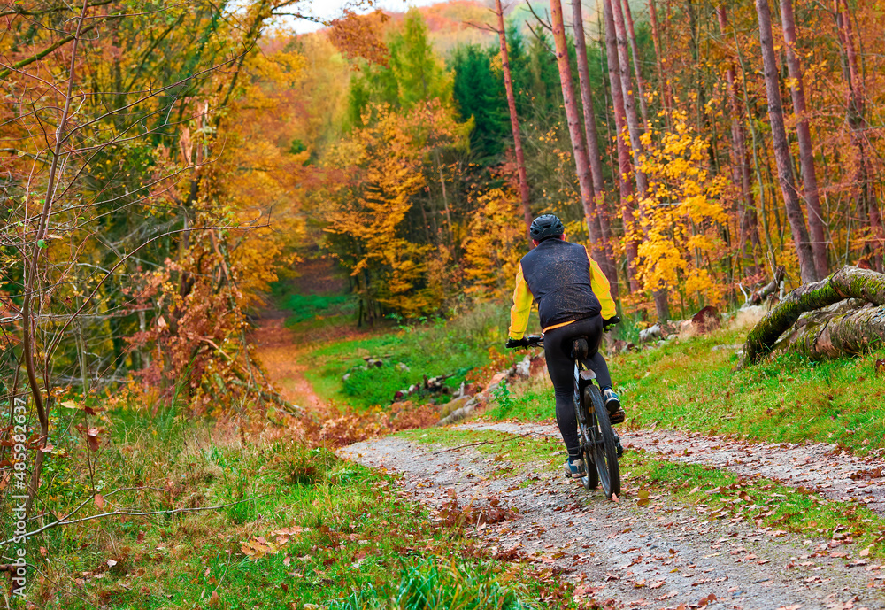 person riding a bike in autumn forest