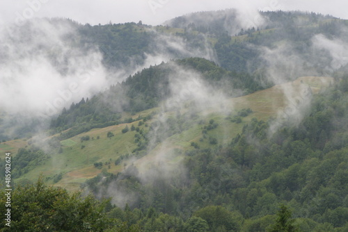 misty morning in the mountains