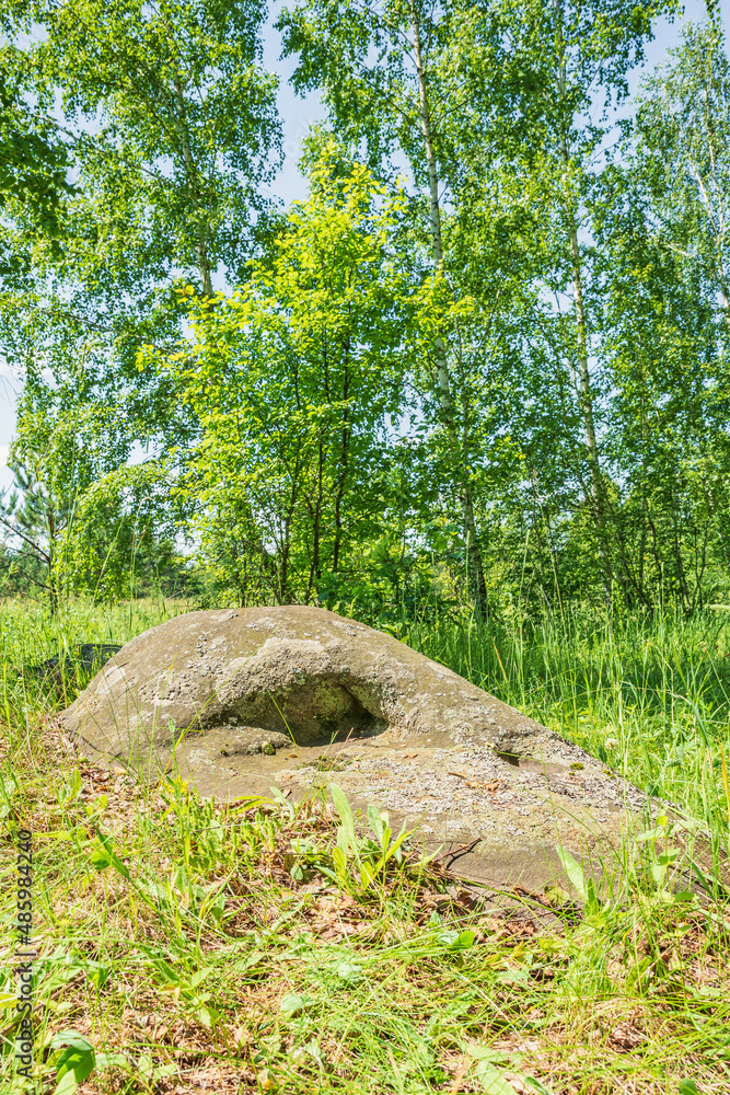 A large ancient sacred boulder stone, Sledovik, covered with lichen in a birch forest in the Orel region, Russia