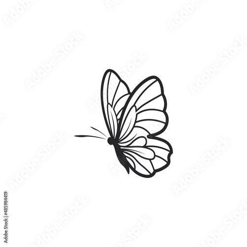 Vector Butterfly conceptual simple  colorful icon. Logo. Vector illustration