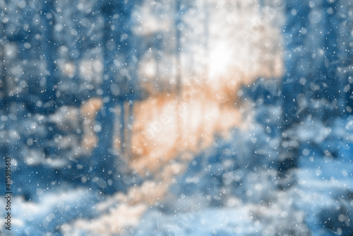  blurred winter forest © vlntn