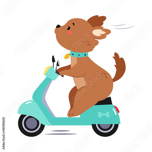 Cute Brown Puppy Character Riding Motor Scooter or Motorcycle Vector Illustration