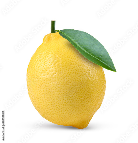 Lemon fruit with leaf on white background