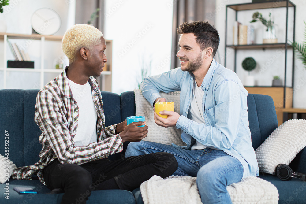 African american and caucasian men drinking tea and chatting together on comfy couch. Connection between two loving people and sincere talks concept. African american and caucasian men drinking tea and chatting together on comfy couch. Connection between two loving people and sincere talks concept.