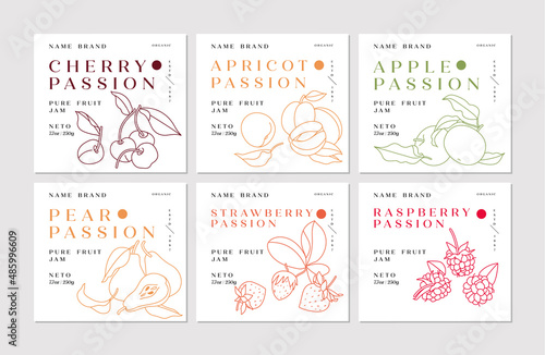 Vector illustration set of design labels with apple, apricot, pear, strawberry and raspberry, cherry fruits - simple linear style. Emblems composition with fruits and typography.