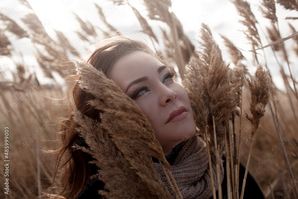 portrait of beatuful woman with over weight body walking in the field with dry grass, T. the wind in have fun with hairs. woman with make up portrait of beatuful woman with over weight body walking in the field with dry grass, T. the wind in have fun with hairs. woman with make up