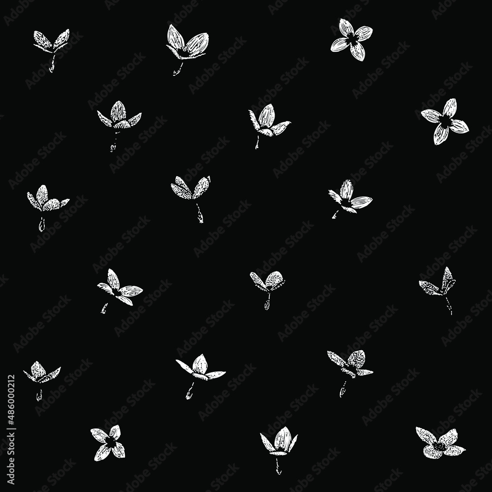 Fototapeta premium quacker ladies flower set hand drawing vector illustration isolated on black background